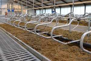 ????????????????????????????????????