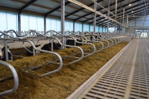 ????????????????????????????????????