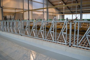 ????????????????????????????????????