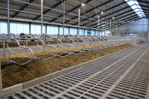 ????????????????????????????????????