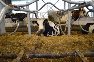 ????????????????????????????????????